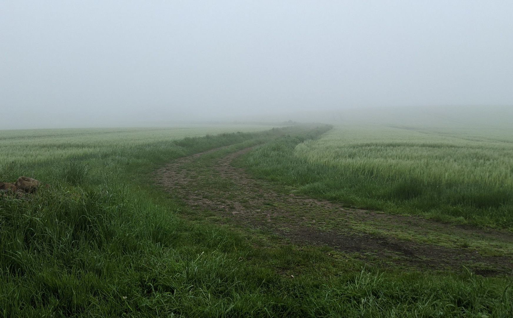 A curved track between two fields. The landscape is almost completely obscured by fog.